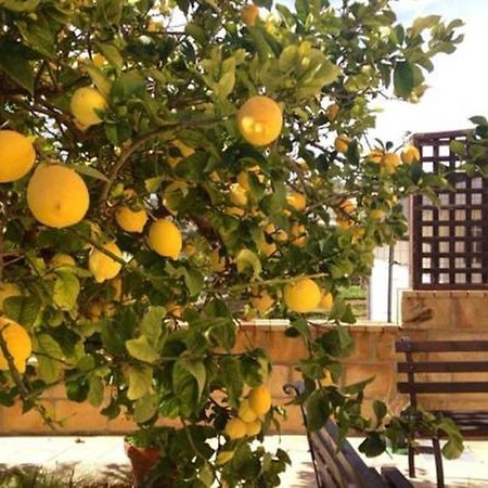 Villa Mara B&B Ното Екстериор снимка