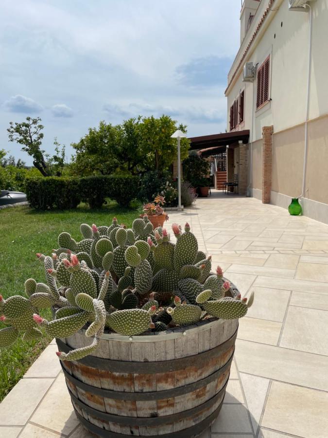 Villa Mara B&B Ното Екстериор снимка