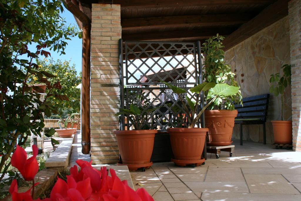 Villa Mara B&B Ното Екстериор снимка