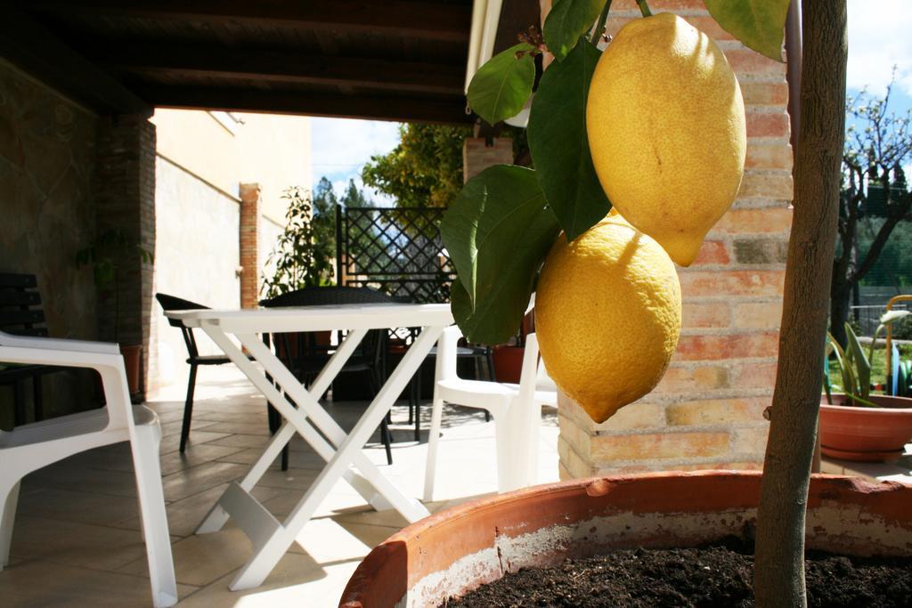 Villa Mara B&B Ното Екстериор снимка