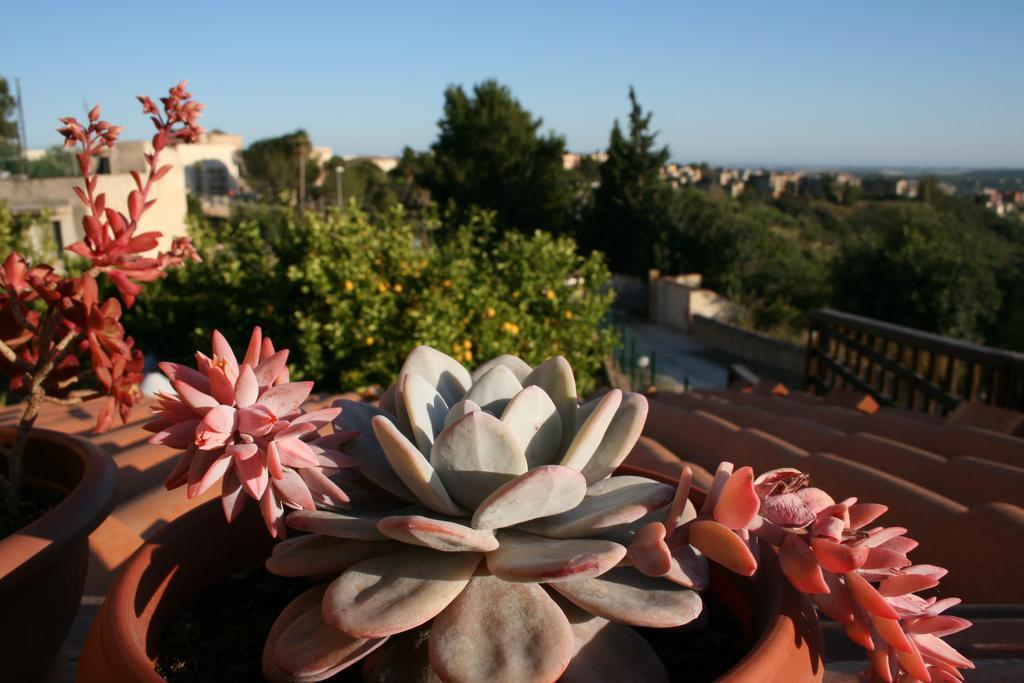 Villa Mara B&B Ното Екстериор снимка